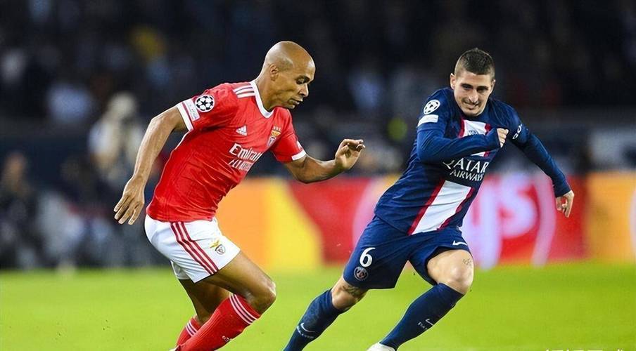 温网决赛对决在即！山东泰山演练定位球，本菲卡密集防守应对的简单介绍